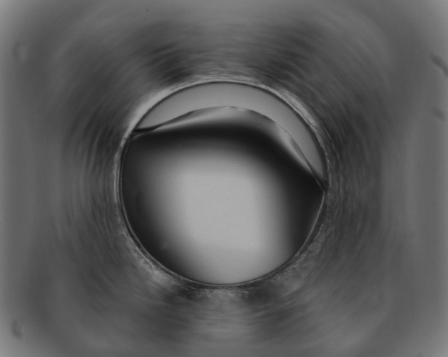 X0000091491246200709131824