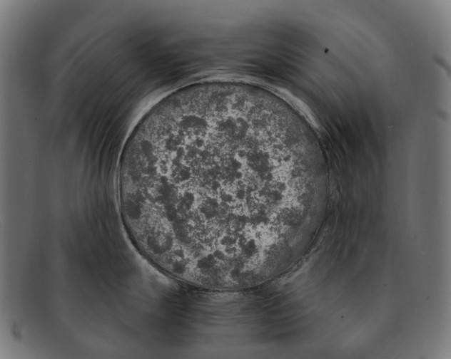 X0000091491247200709131824