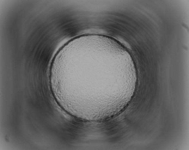 X0000091491248200709131824