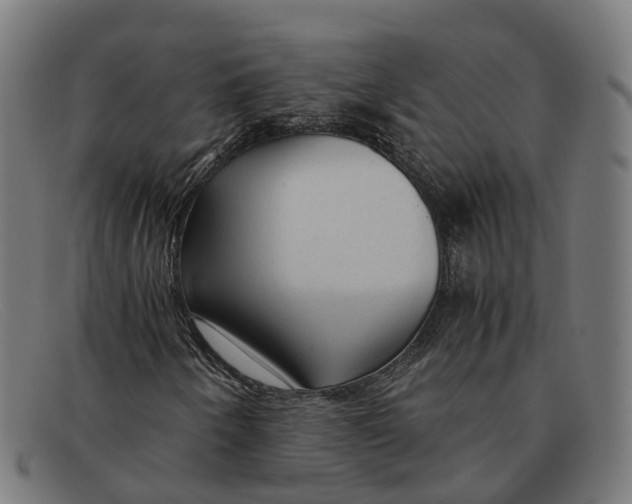 X0000091491250200709131824