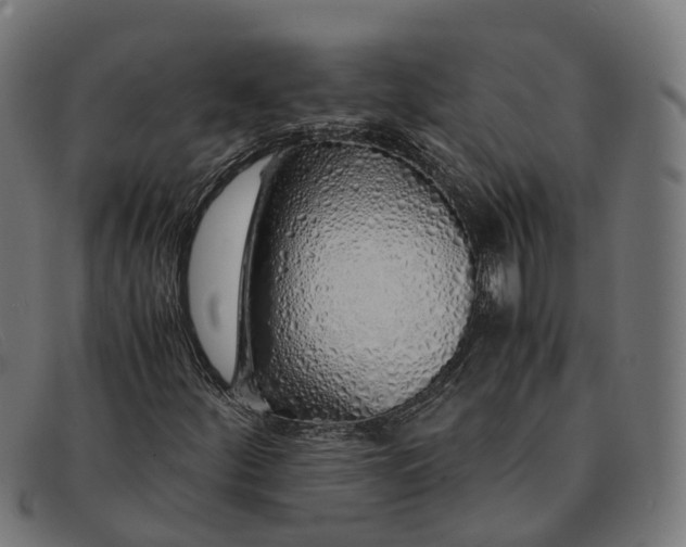 X0000091491252200709131824