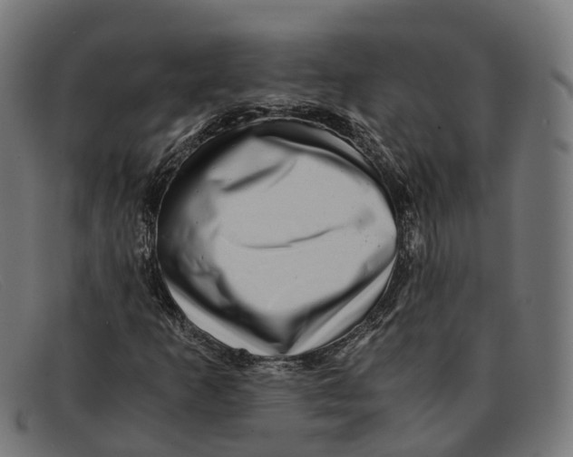 X0000091491253200709131824