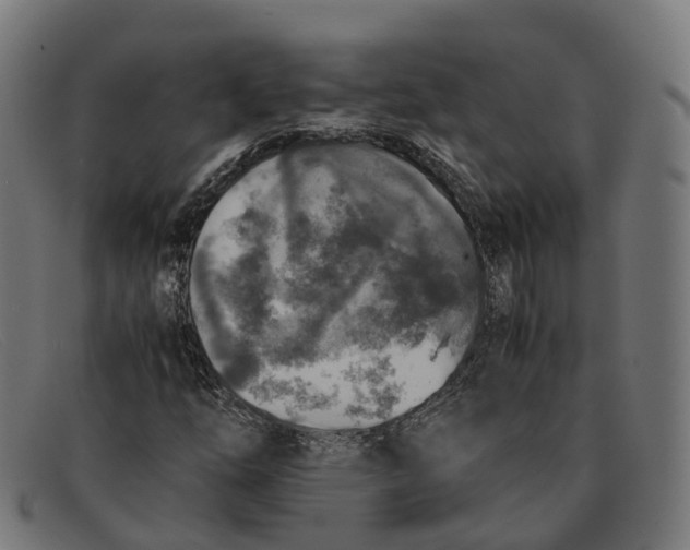 X0000091491254200709131824