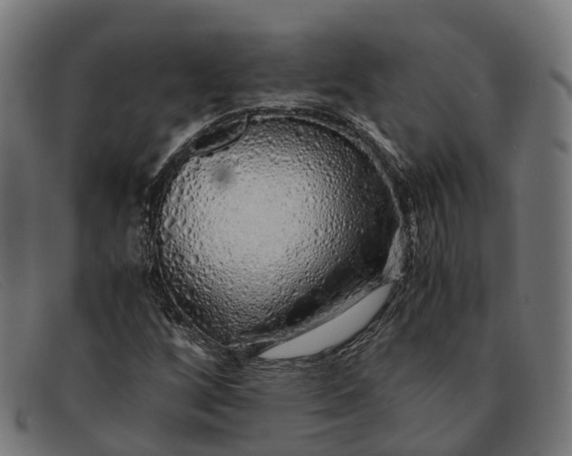 X0000091491256200709131824