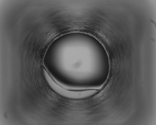 X0000091491257200709131824