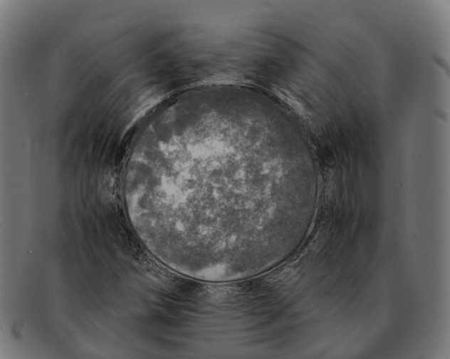 X0000091491258200709131824