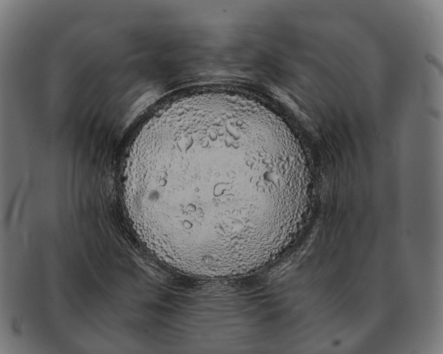 X0000091491259200709131824