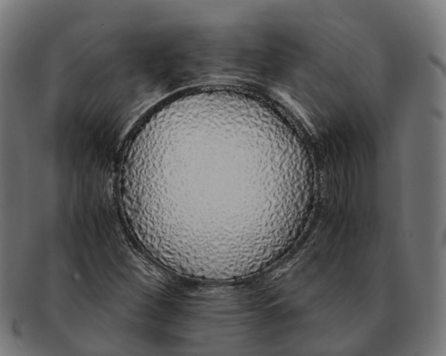 X0000091491260200709131824