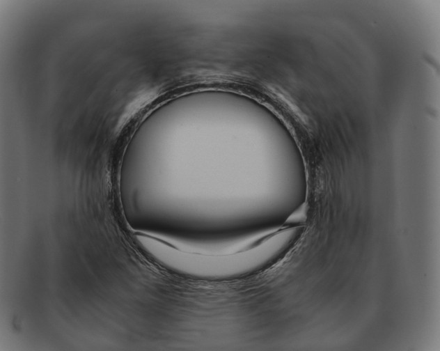 X0000091491261200709131824