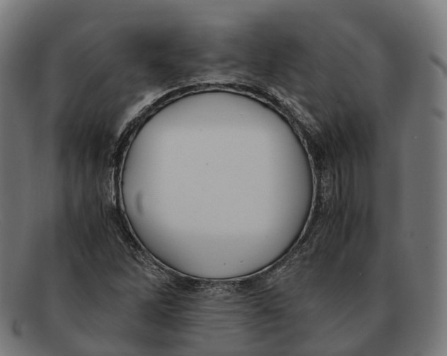 X0000091491262200709131824