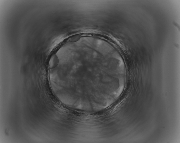 X0000091491263200709131824