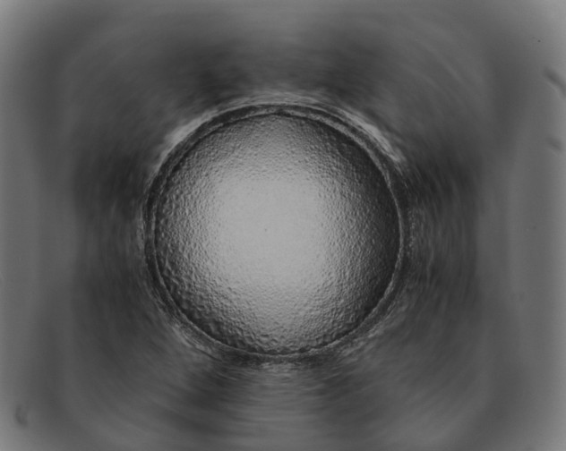 X0000091491264200709131824