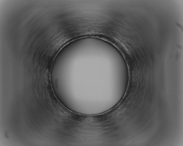X0000091491265200709131824