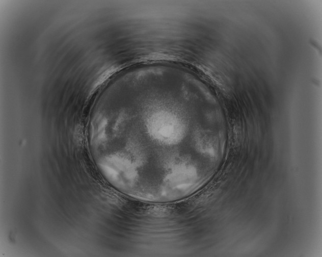 X0000091491266200709131824