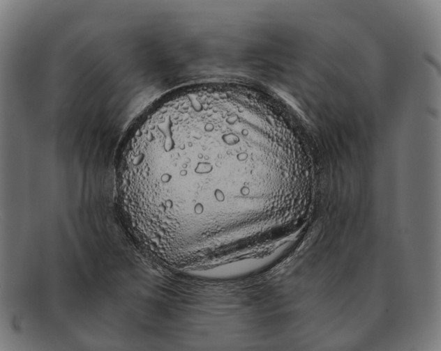 X0000091491267200709131824