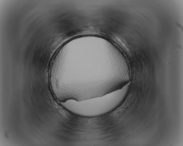 X0000091491268200709131824