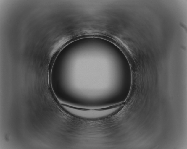 X0000091491269200709131824