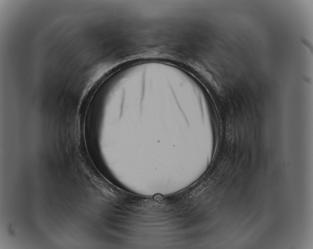 X0000091491270200709131823