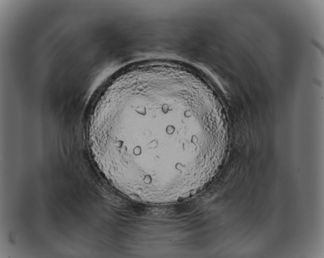 X0000091491271200709131823
