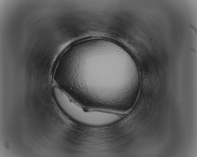X0000091491272200709131823