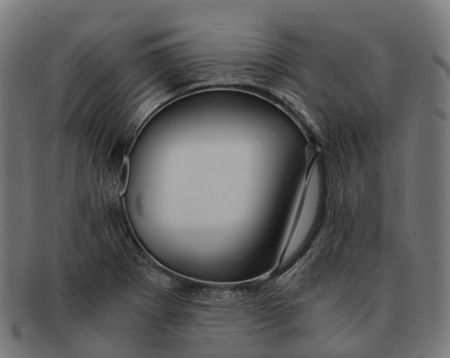 X0000091491273200709131823