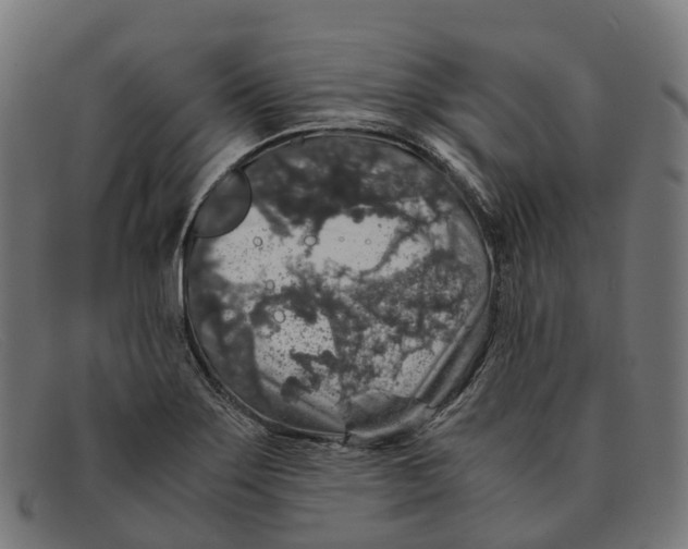 X0000091491275200709131823