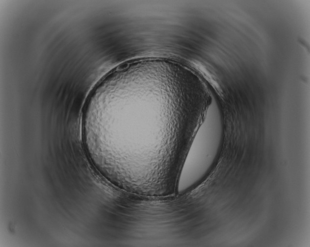 X0000091491276200709131823