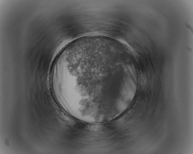 X0000091491278200709131823