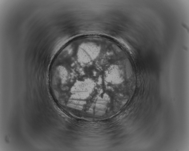 X0000091491279200709131823