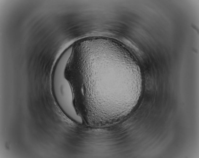 X0000091491280200709131823