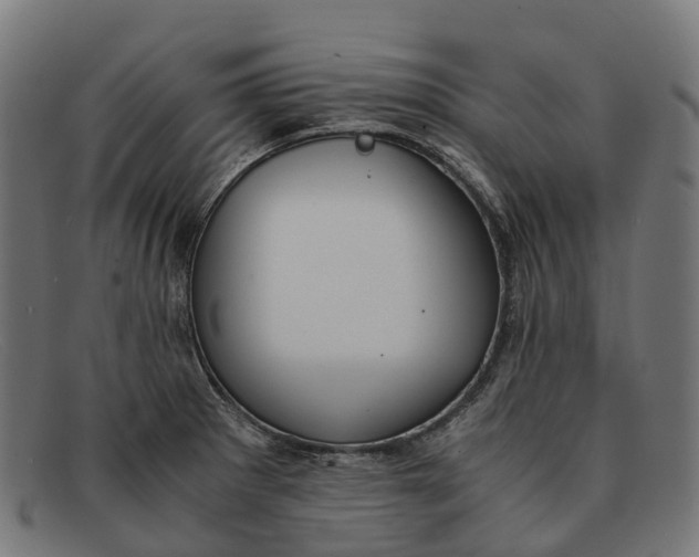 X0000091491281200709131823