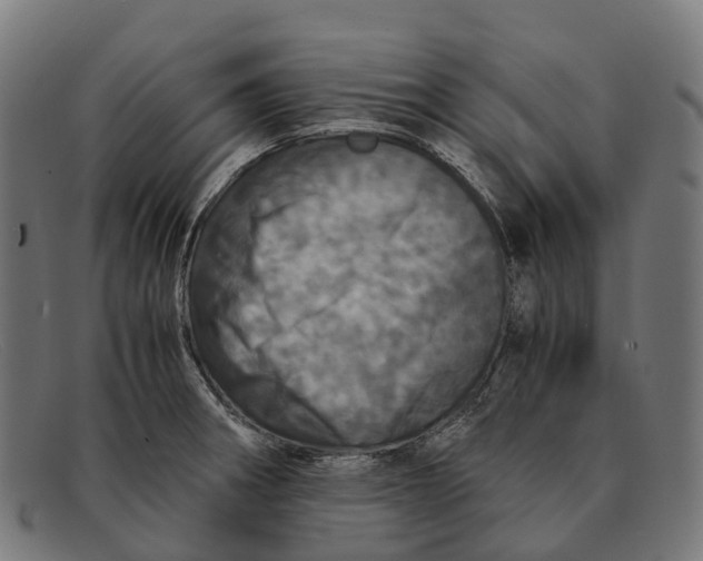 X0000091491282200709131823