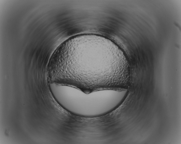 X0000091491284200709131823
