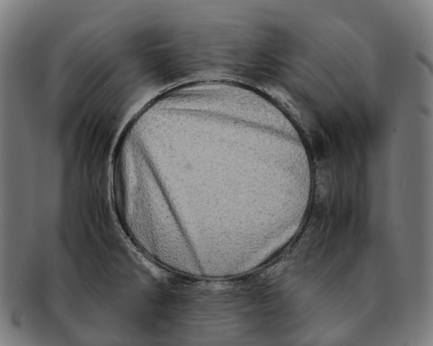 X0000091491286200709131823