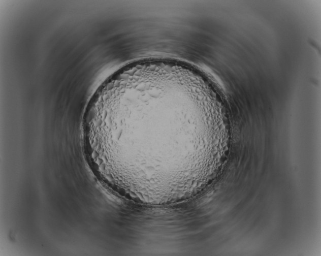 X0000091491287200709131823