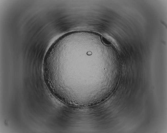 X0000091491288200709131823