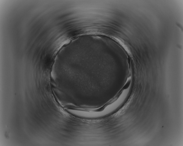 X0000091491289200709131823