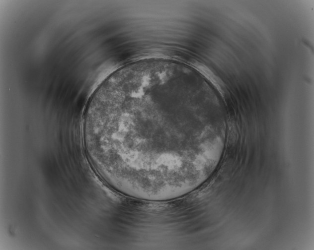 X0000091491290200709131823