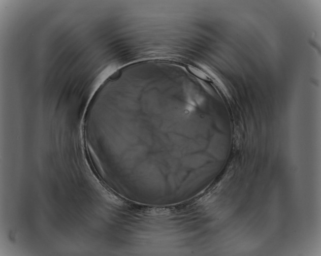 X0000091491291200709131823