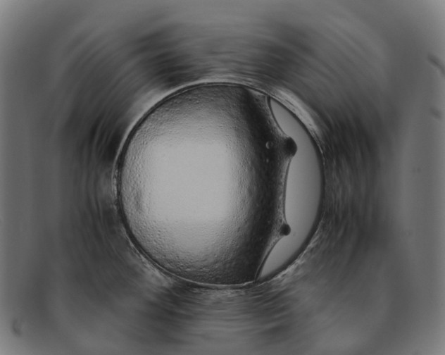 X0000091491292200709131823