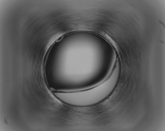 X0000091491293200709131823