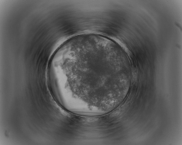 X0000091491294200709131823