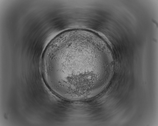 X0000091491295200709131823