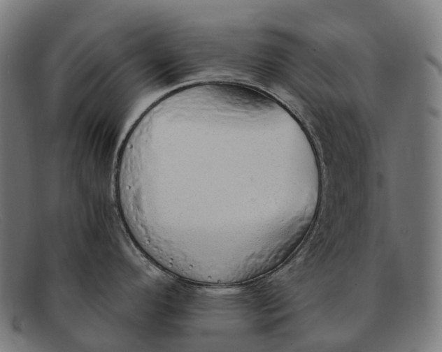 X0000091491296200709131823