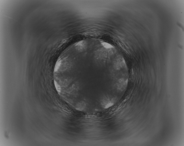 X0000091491297200709131823