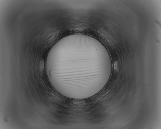 X0000091491299200709131823