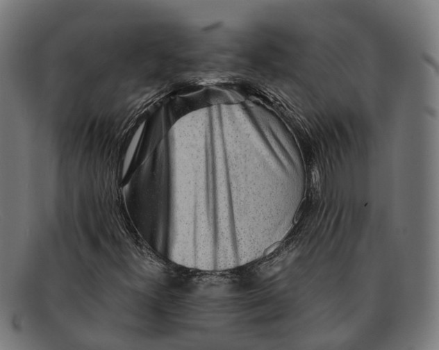 X0000091491300200709131823