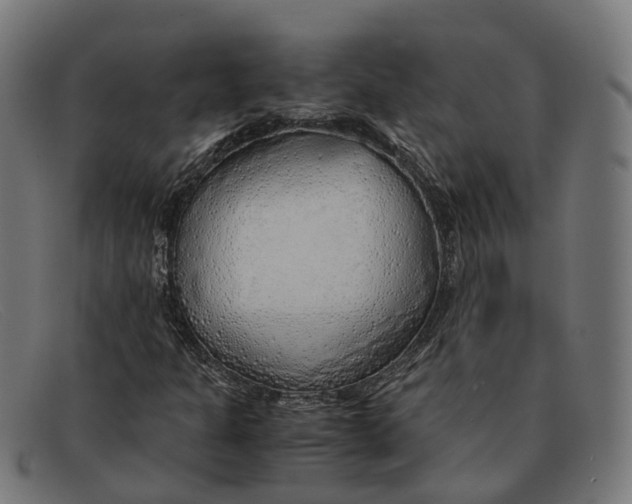 X0000091491301200709131823