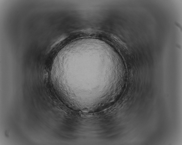 X0000091491302200709131823