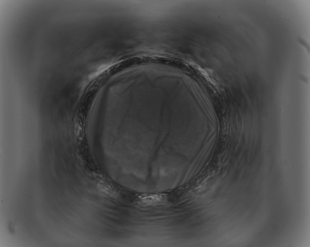 X0000091491303200709131823